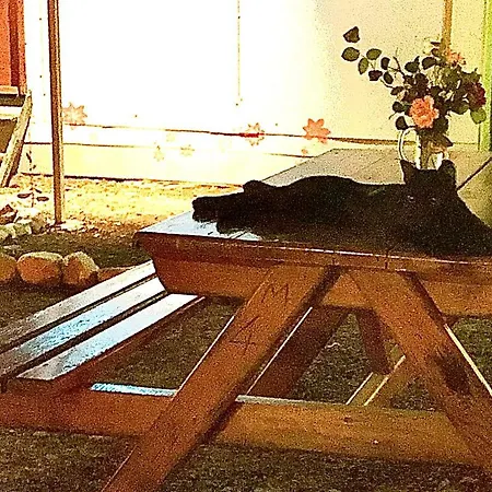 Отель Iris Bungalow